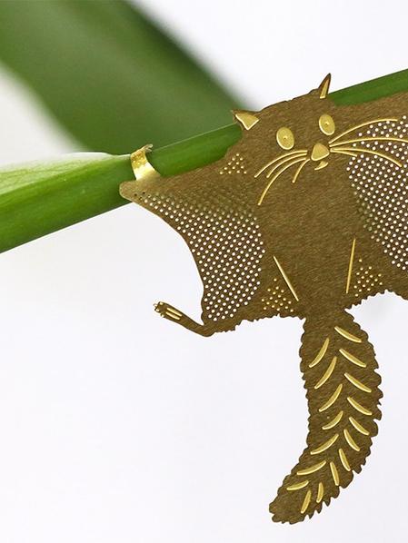 Plant Animal Ecureuil volant