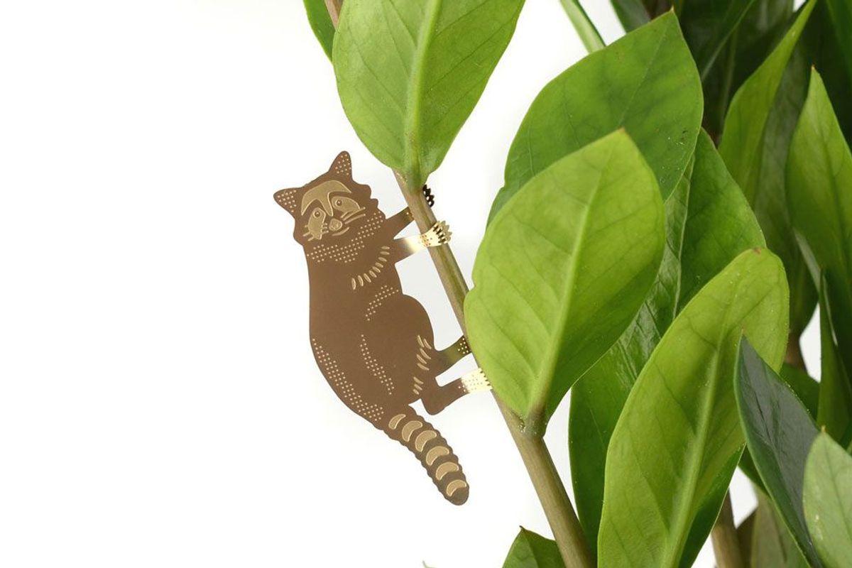 S/3 Plant Animals - Galago & co