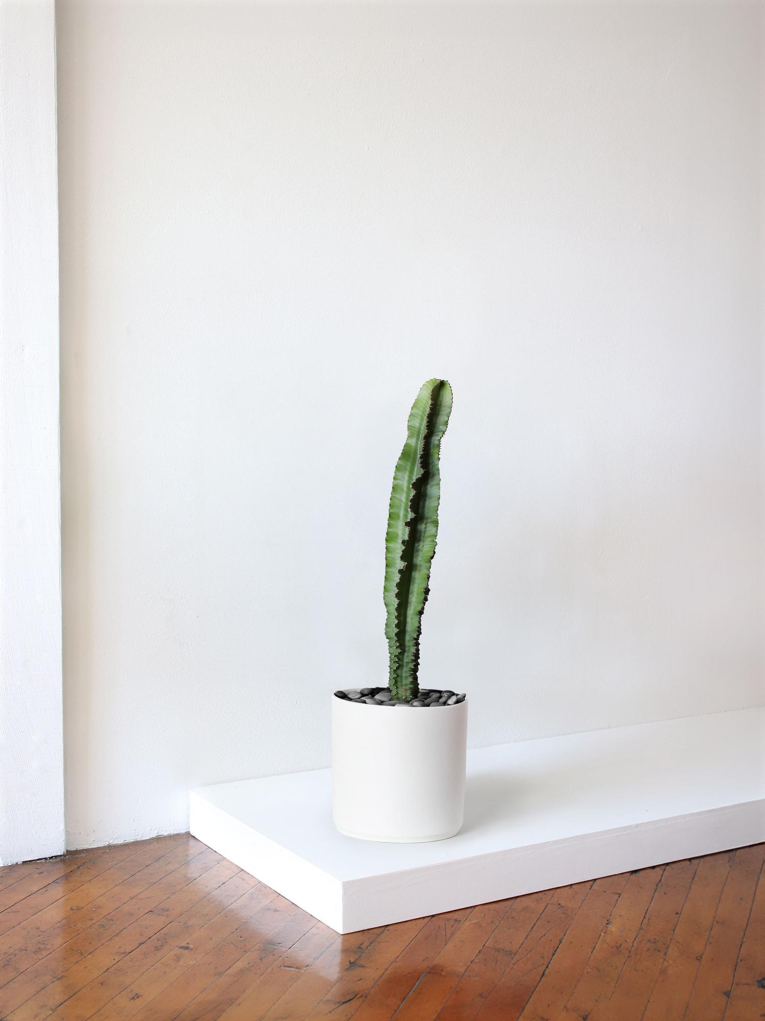 ceramic hanging flower pots Virago Modern Hanging Planter- Grid White