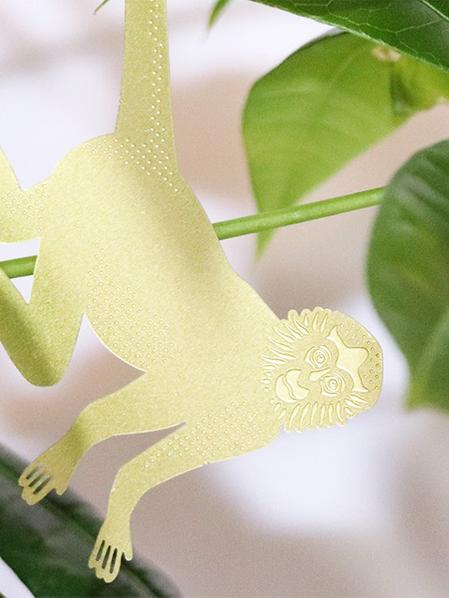 Plant Animal Singe-araignée