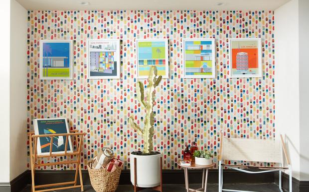Colorful Living Plants