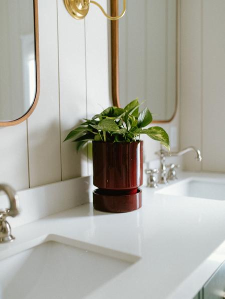 Cascading Pothos