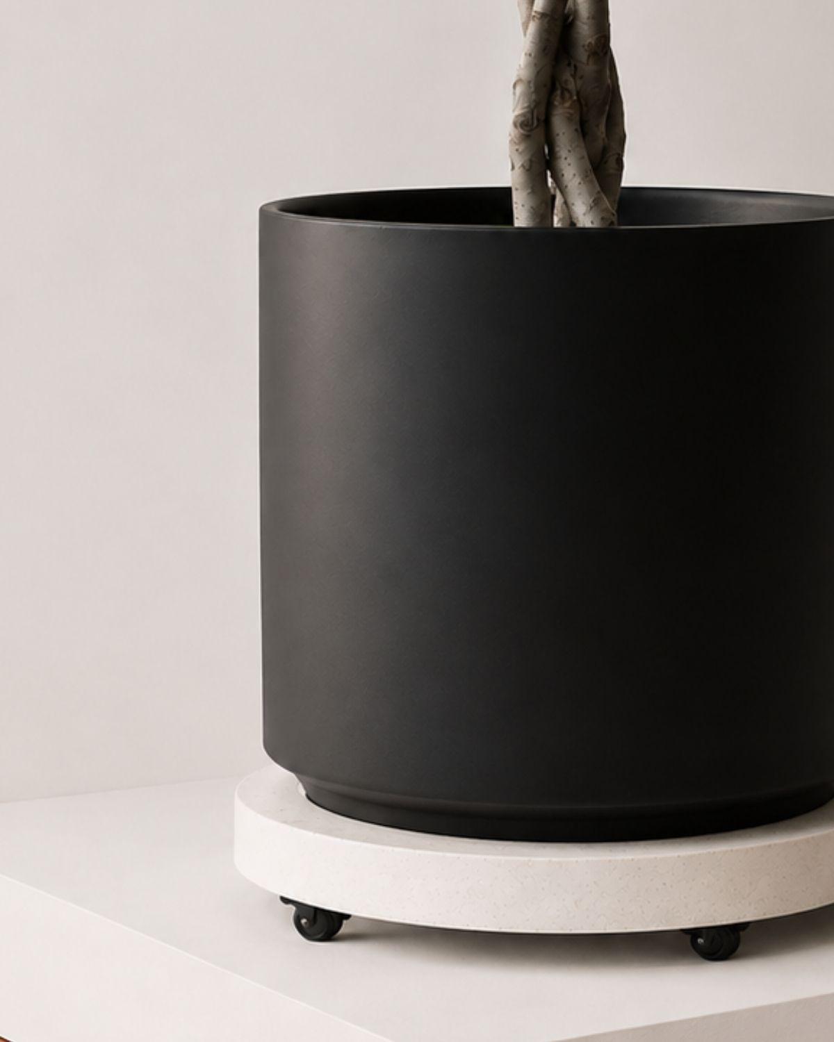 Rolling Plant Stand
