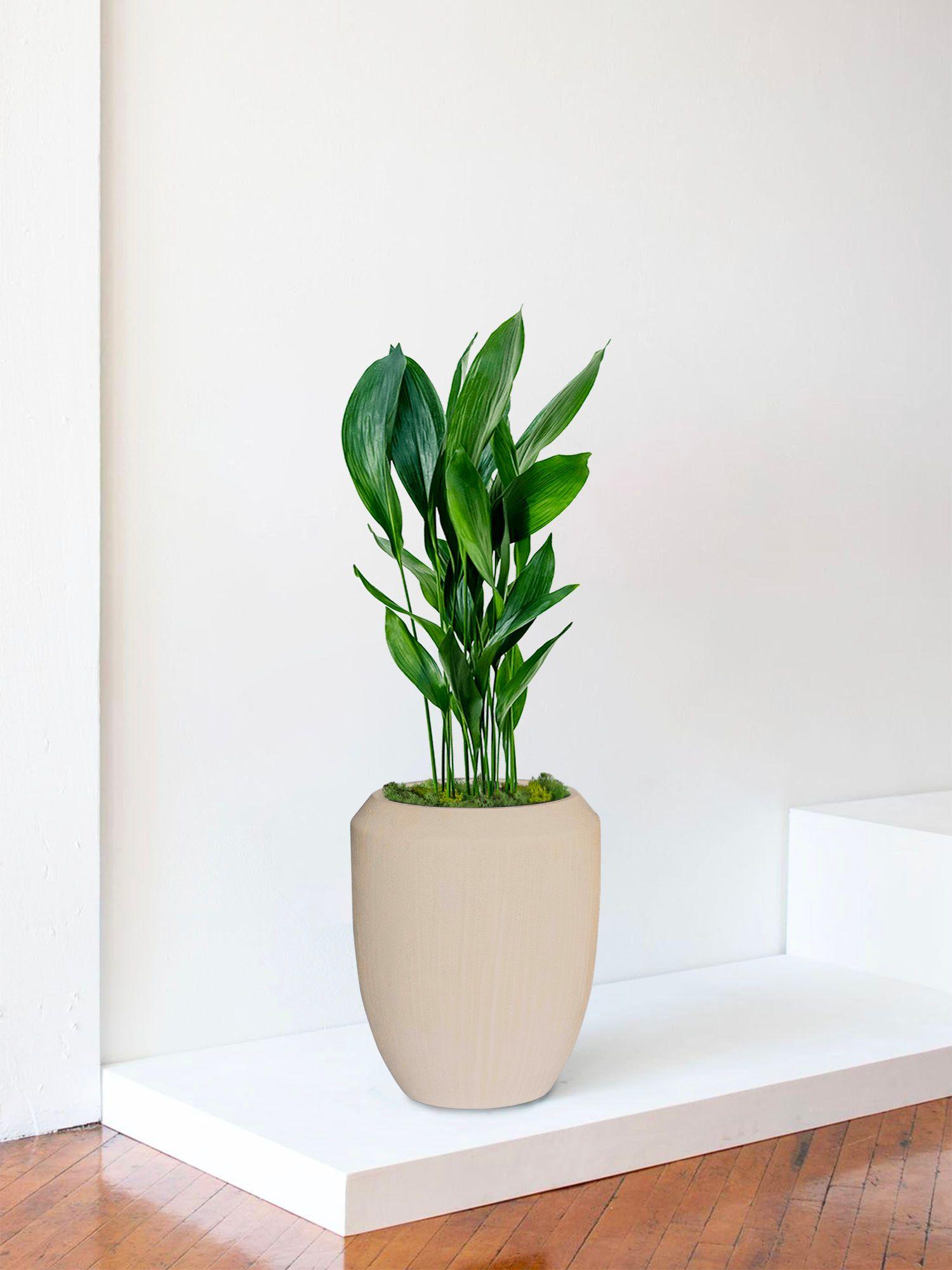 Cache-pot Verta - Le 30