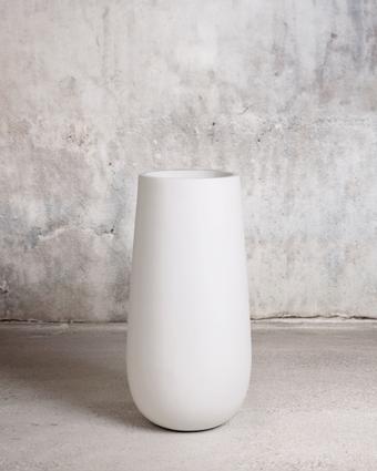 indoor plants picture