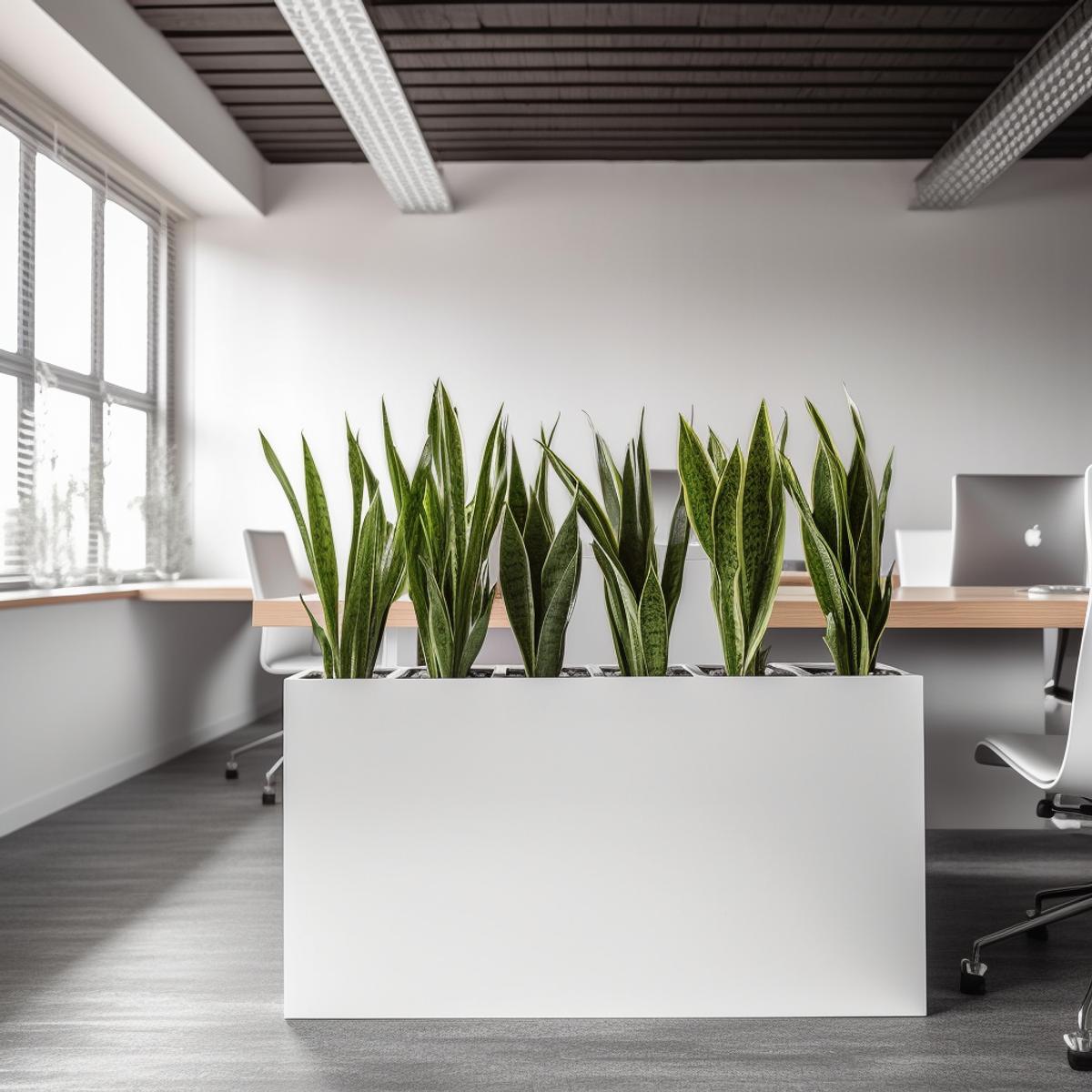 Solutions for Larger Spaces | Léon & George