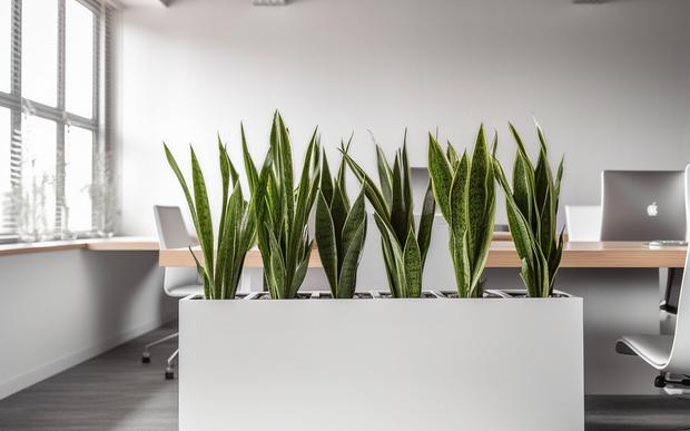 Create impressive plant stylings, seamlessly