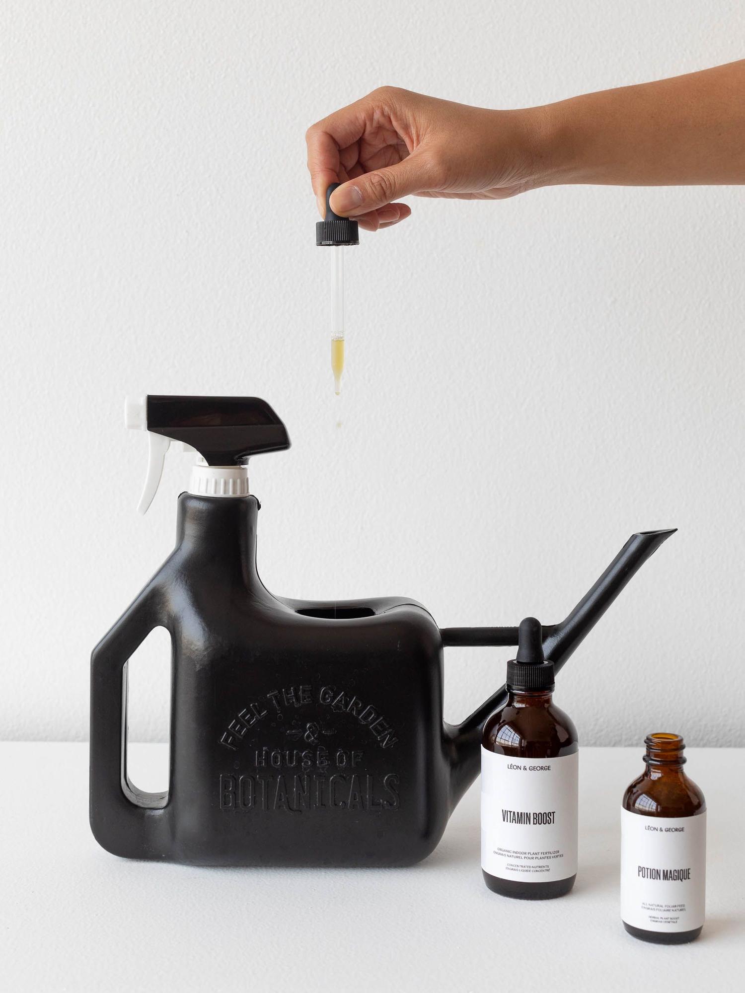 Preventive Plant Care Essentials