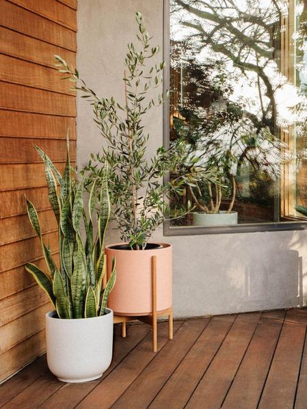 Olive Bush Large (2 ft tall) – White Mid-Century Ceramic & Light Olive Bush Large (2 ft tall) – White Mid-Century Ceramic & Light
