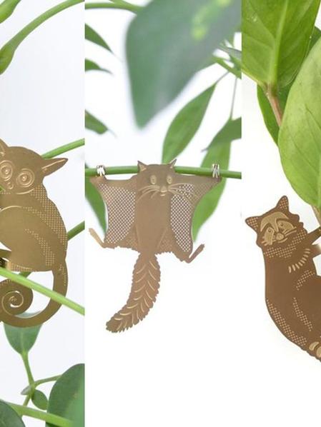 S/3 Plant Animals - Galago & co