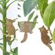 S/3 Plant Animals - Galago & co