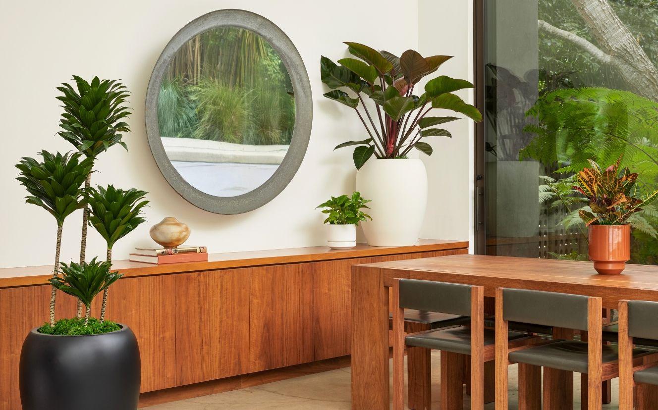 Calix Planters Back in Stock!