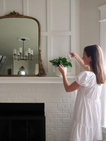 Cascading Pothos