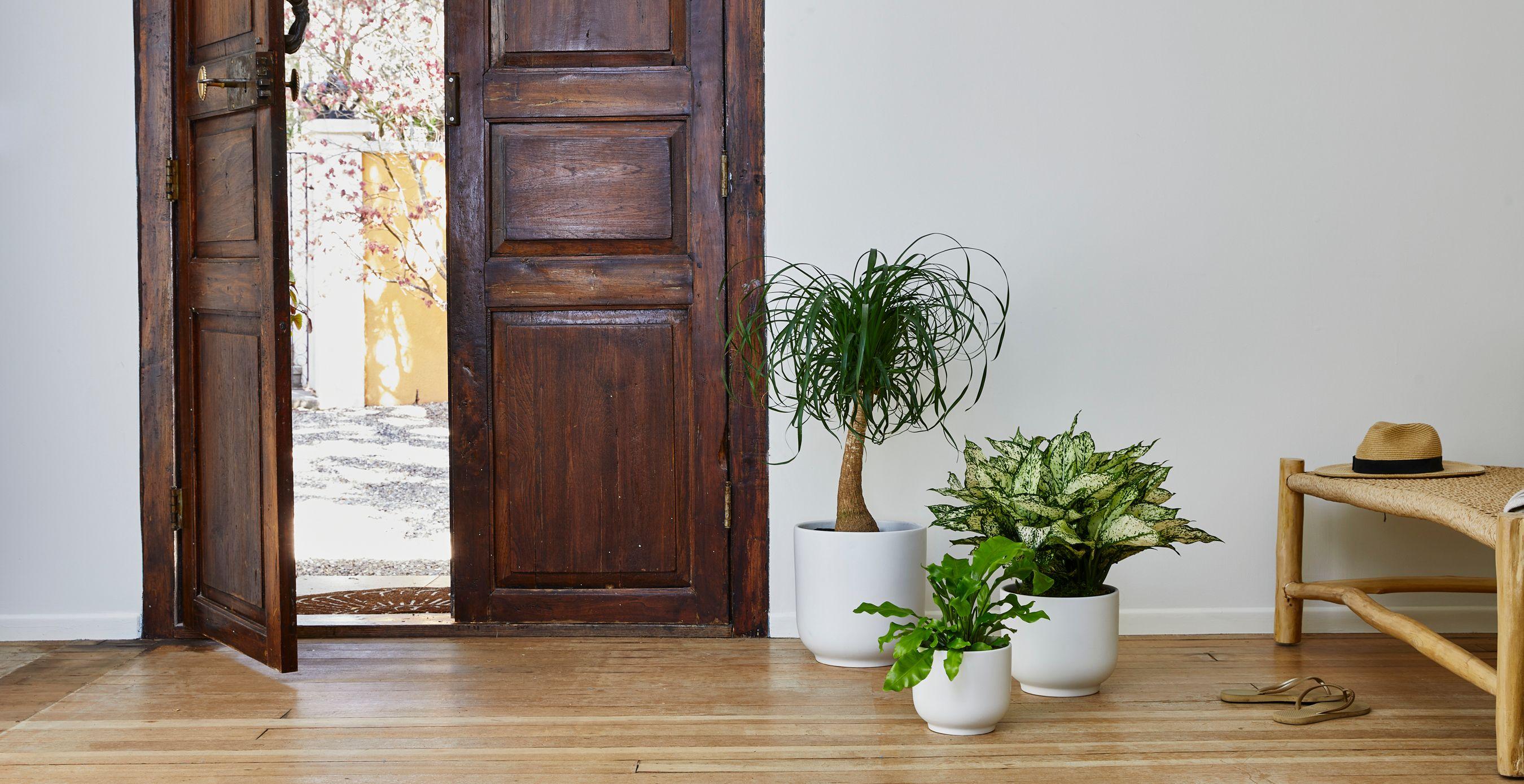 Nouvelle Bell - The Eight