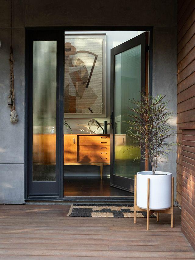 False Aralia - Nouvelle