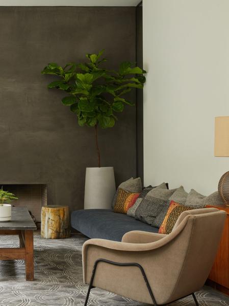Fiddle Leaf Fig Tree