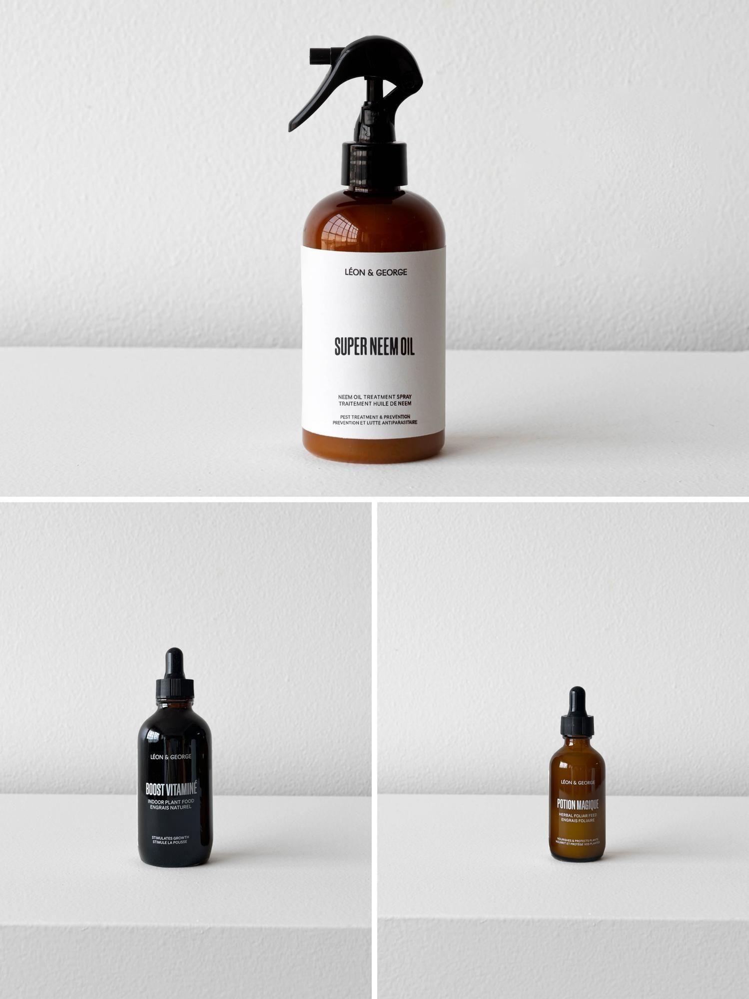 Restorative Plant Care Essentials