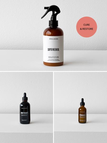 Restorative Plant Care Essentials