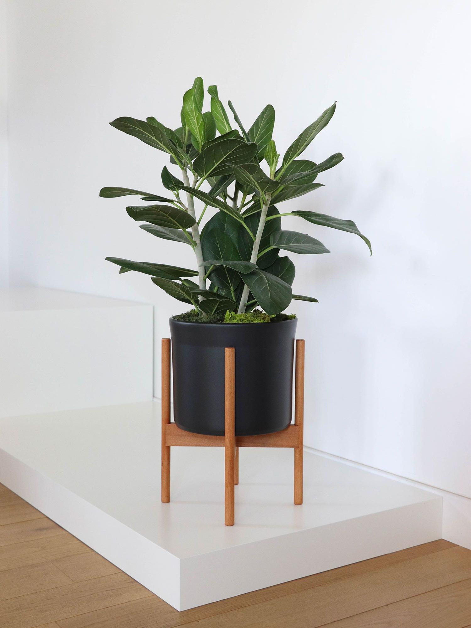 Cache-pot Velvet - Le 28