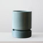 Boston Fern - Mist With Saucer