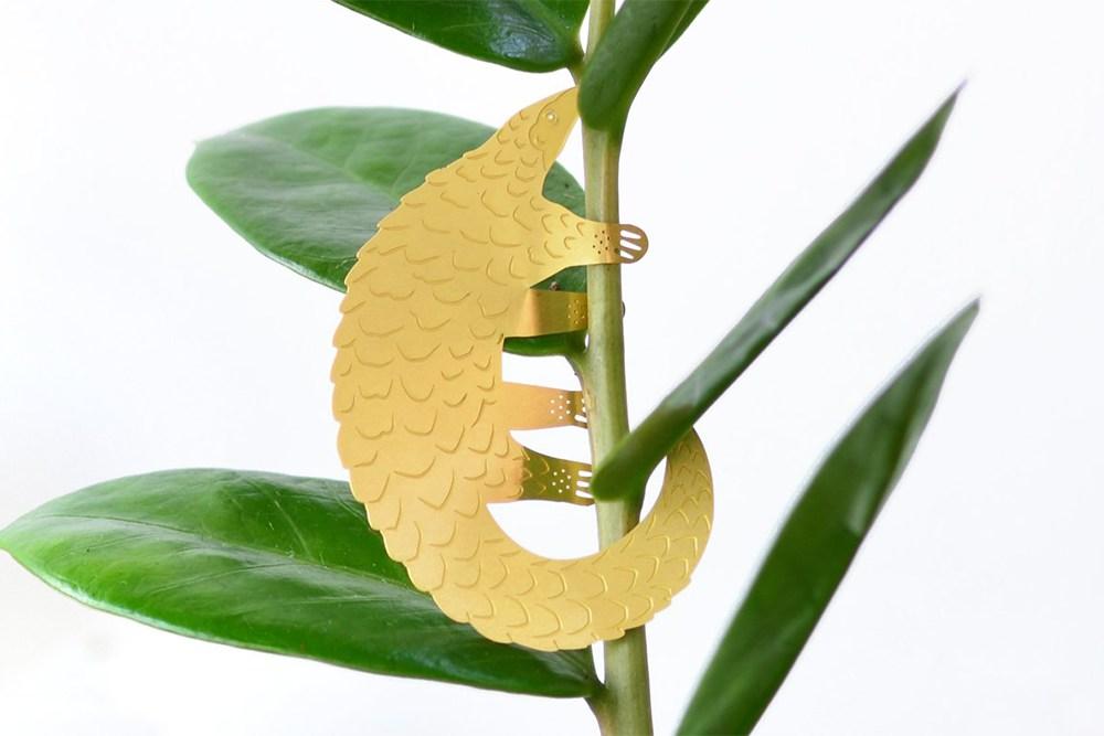 Plant Animal Pangolin