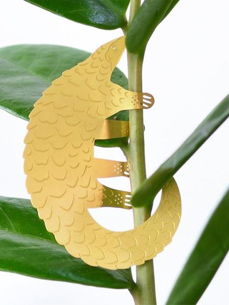 Plant Animal Pangolin