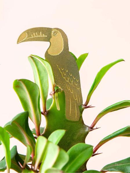 Plant Animal - Toucan