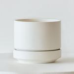 Spider Plant - White Scandinavian Ceramic 