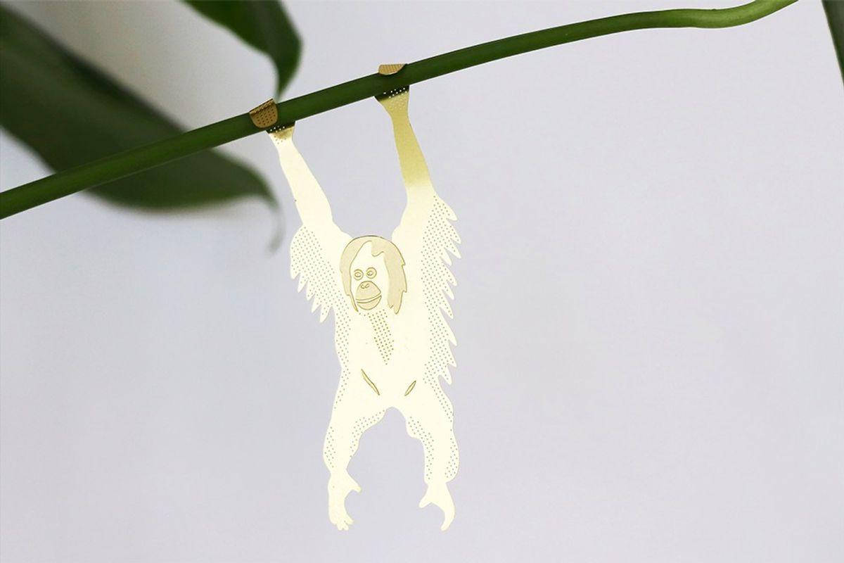 S/3 Plant Animals - Paresseux & co