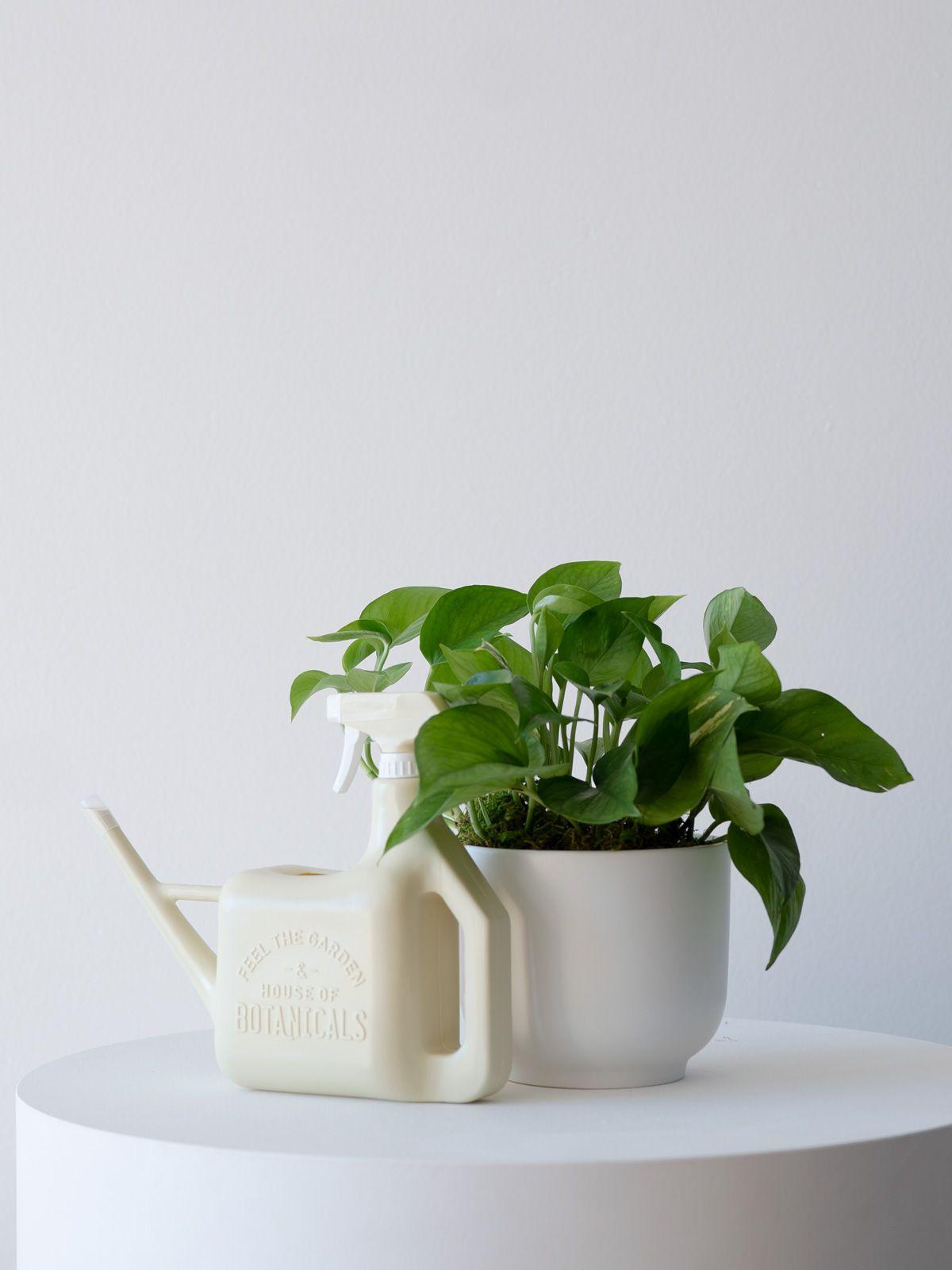 House of Botanicals Watering Can & Mister