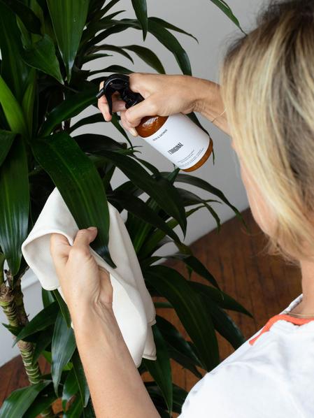 Preventive Plant Care Essentials
