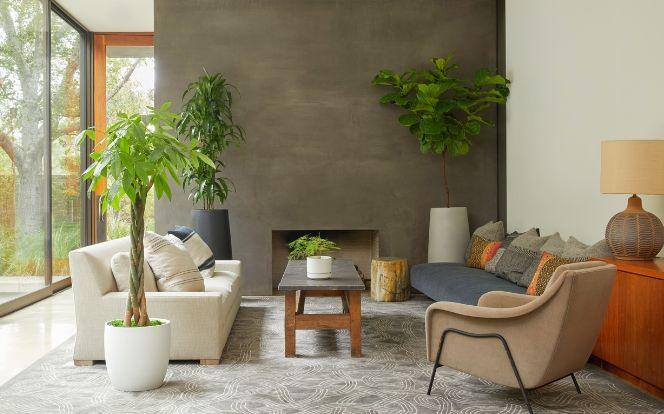 Exceptional Indoor Greenery