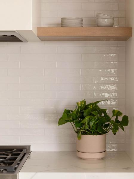Cascading Pothos