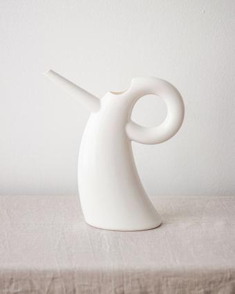 indoor plants picture