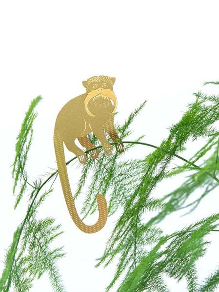 Plant Animal - Tamarin