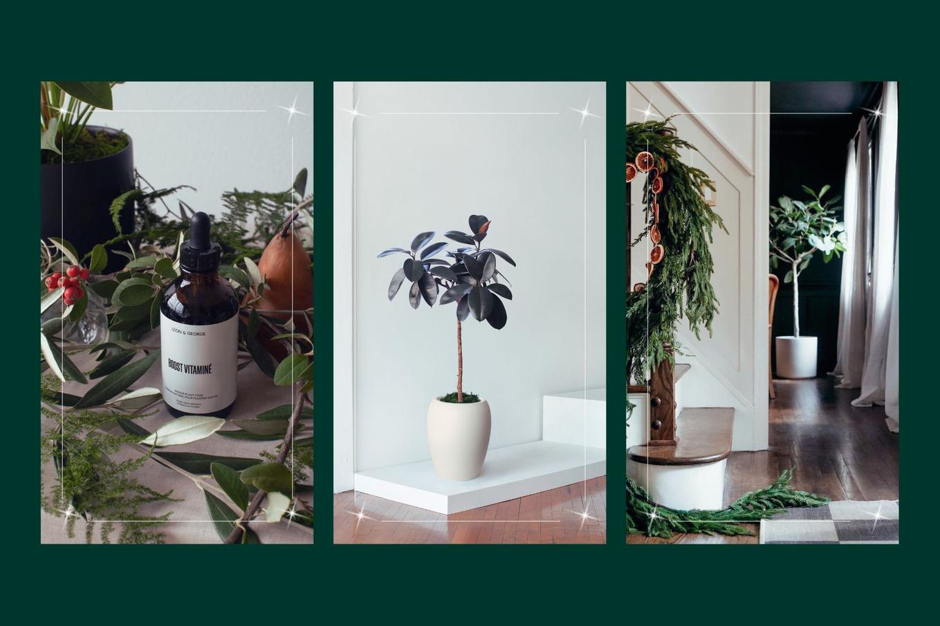 Gift ideas for the style savant