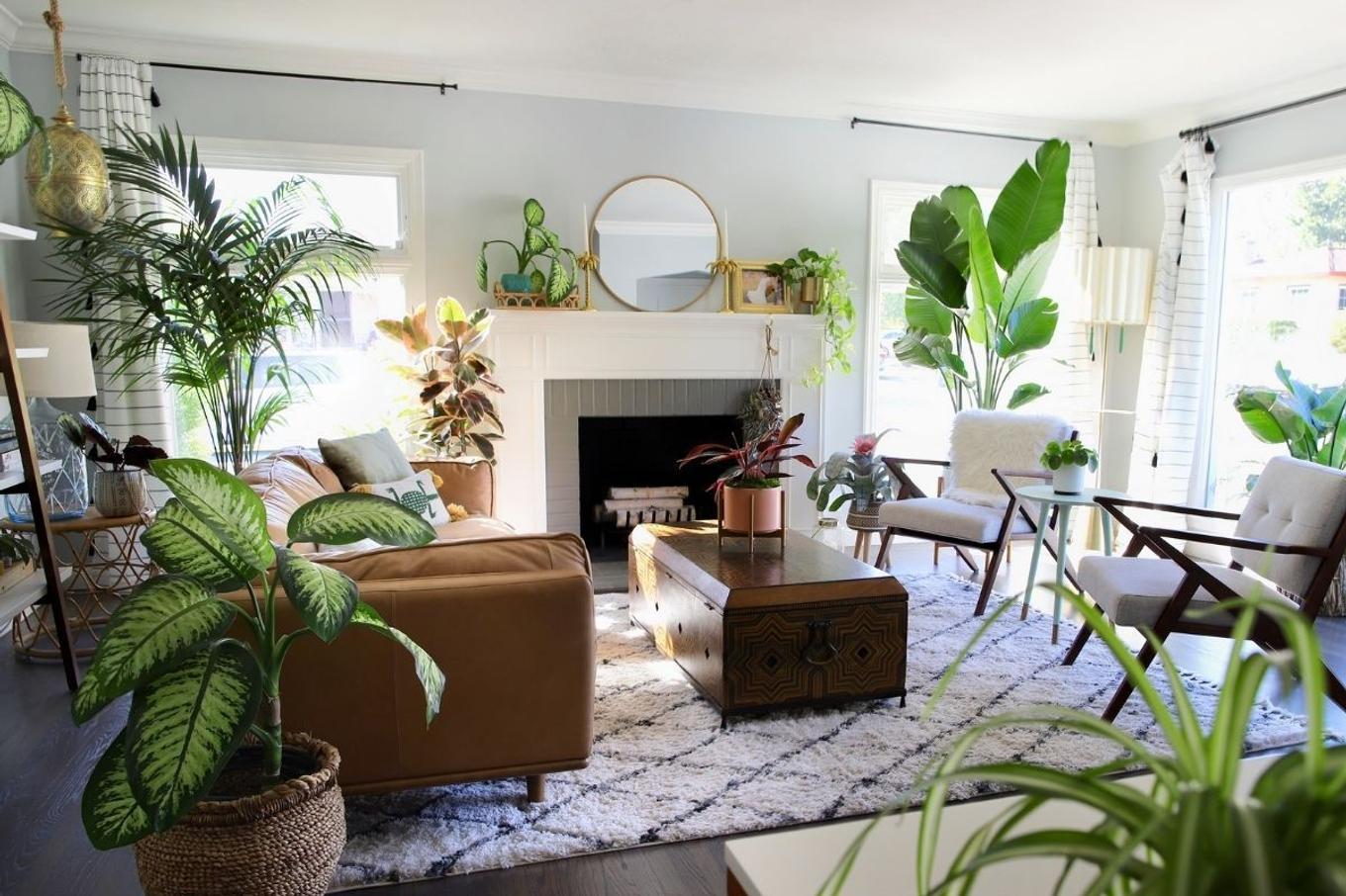 A living room filled with plants