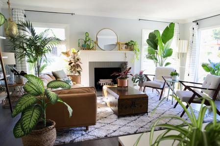 How to Transform Your Living Room with Plants