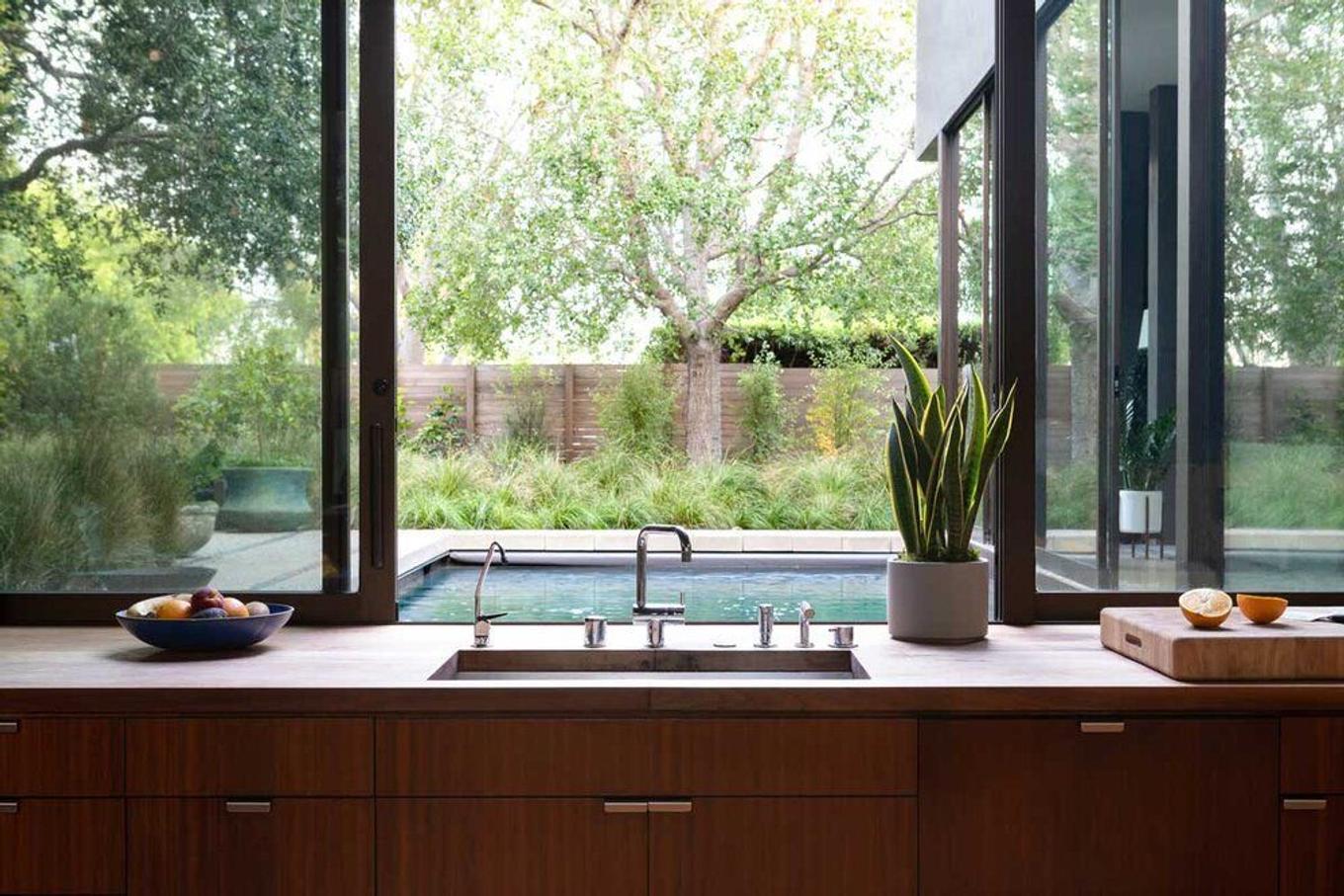 Sansevieria (snake plant) baignée de lumière estivale dans un intérieur clair