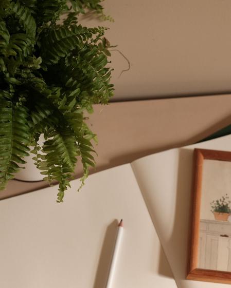Boston Fern