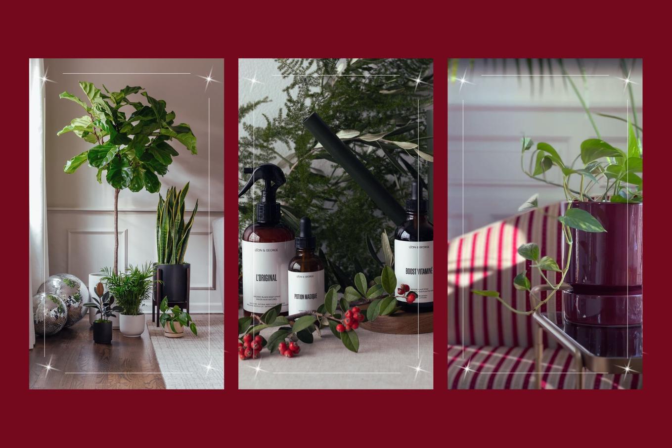 Wellness-inspired gift ideas