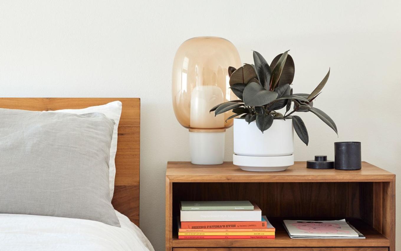 The rubber plant is a great air purifier