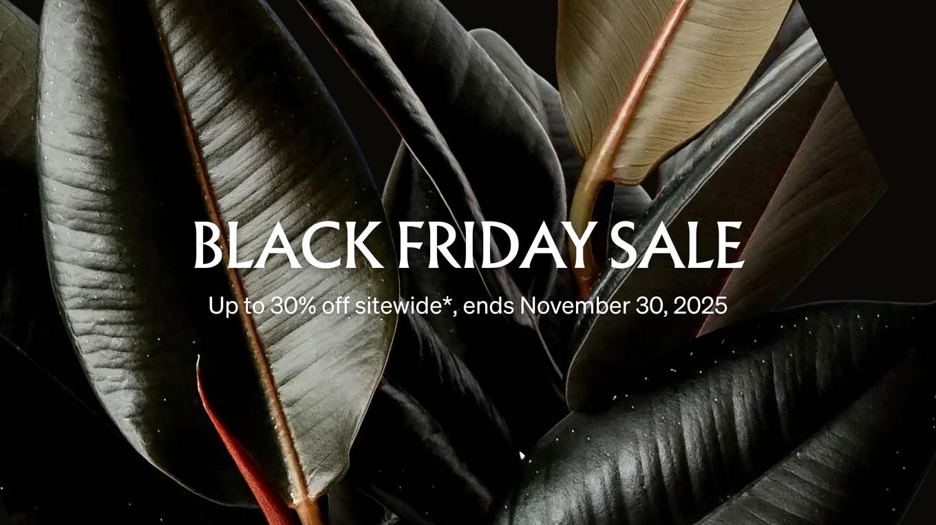 NATURE’S FINEST GREENERY<br /><br />