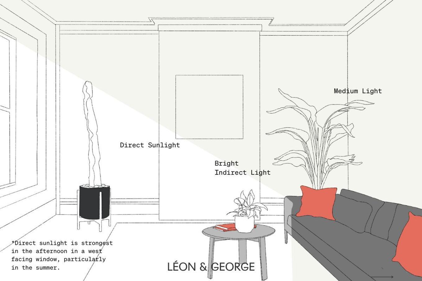 West facing window light guide for plants