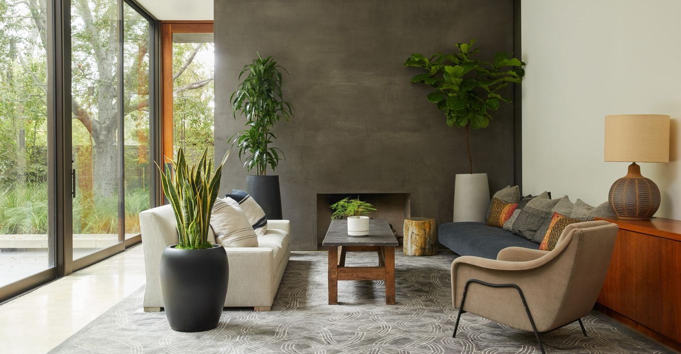 Designed to Thrive