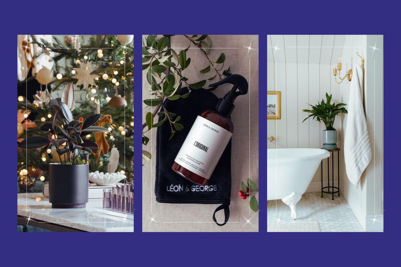 Wellness-inspired gift ideas