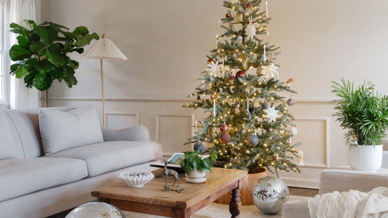 Beautiful greenery for giving and gathering