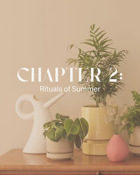 Chapter 2: Rituals of Summer