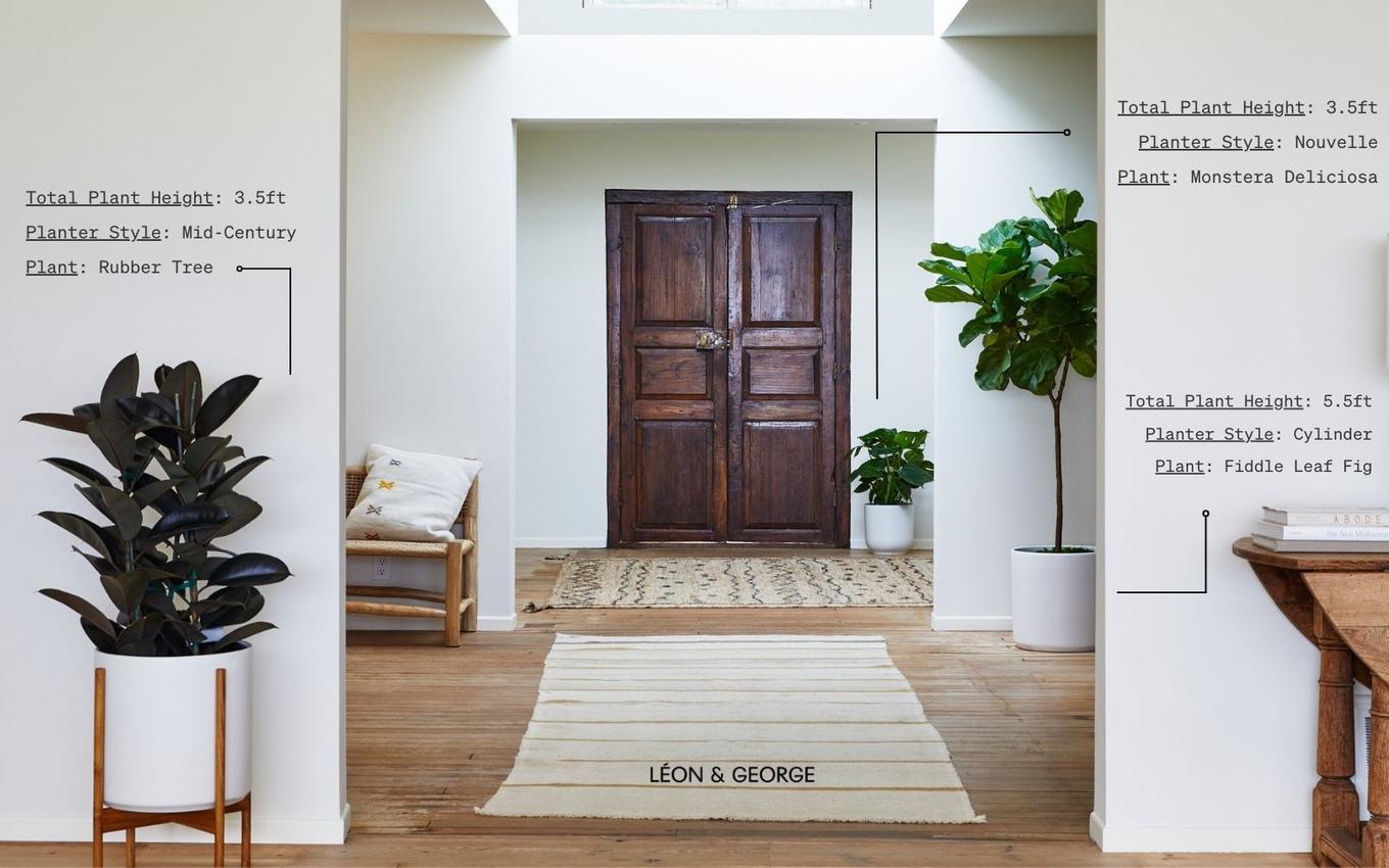 How to Style Indoor Plants for Any Room, Plant Styling Guide by Léon ...