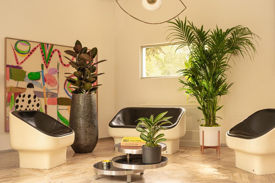 Des plantes pour sublimer les espaces